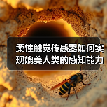 柔性触觉传感器如何实现媲美人类的感知能力?(图1) 柔性触觉传感器如何实现媲美人类的感知能力?(图1)