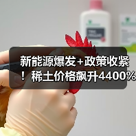 新能源爆发+政策收紧！稀土价格飙升4400%板块集体躁动（图2）