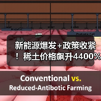 新能源爆发+政策收紧！稀土价格飙升4400%板块集体躁动（图3）