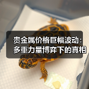 贵金属价格巨幅波动:多重力量博弈下的真相(图4) 贵金属价格巨幅波动:多重力量博弈下的真相(图4)