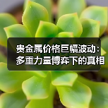 贵金属价格巨幅波动:多重力量博弈下的真相(图3) 贵金属价格巨幅波动:多重力量博弈下的真相(图3)