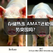 存储热涨 AMAT还能借势突围吗?(图4) 存储热涨 AMAT还能借势突围吗?(图4)