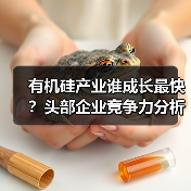 有机硅产业谁成长最快?头部企业竞争力分析(图1) 有机硅产业谁成长最快?头部企业竞争力分析(图1)