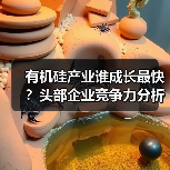 有机硅产业谁成长最快?头部企业竞争力分析(图2) 有机硅产业谁成长最快?头部企业竞争力分析(图2)