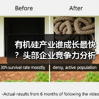 有机硅产业谁成长最快?头部企业竞争力分析(图4) 有机硅产业谁成长最快?头部企业竞争力分析(图4)