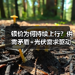 银价为何持续上行?供需矛盾+光伏需求驱动(图1) 银价为何持续上行?供需矛盾+光伏需求驱动(图1)