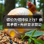 银价为何持续上行?供需矛盾+光伏需求驱动(图2) 银价为何持续上行?供需矛盾+光伏需求驱动(图2)