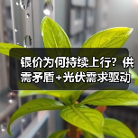 银价为何持续上行?供需矛盾+光伏需求驱动(图4) 银价为何持续上行?供需矛盾+光伏需求驱动(图4)