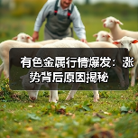有色金属行情爆发:涨势背后原因揭秘(图2) 有色金属行情爆发:涨势背后原因揭秘(图2)