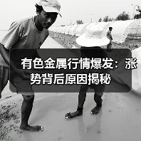 有色金属行情爆发:涨势背后原因揭秘(图3) 有色金属行情爆发:涨势背后原因揭秘(图3)