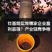 钍基熔盐堆哪家企业盈利最强?产业链竞争格局分析(图3) 钍基熔盐堆哪家企业盈利最强?产业链竞争格局分析(图3)