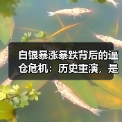 白银暴涨暴跌背后的逼仓危机:历史重演,是终结还是新起点?(图2) 白银暴涨暴跌背后的逼仓危机:历史重演,是终结还是新起点?(图2)