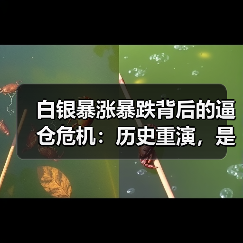 白银暴涨暴跌背后的逼仓危机:历史重演,是终结还是新起点?(图4) 白银暴涨暴跌背后的逼仓危机:历史重演,是终结还是新起点?(图4)