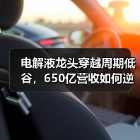 电解液龙头穿越周期低谷,650亿营收如何逆袭?(图1) 电解液龙头穿越周期低谷,650亿营收如何逆袭?(图1)