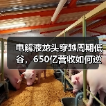 电解液龙头穿越周期低谷,650亿营收如何逆袭?(图2) 电解液龙头穿越周期低谷,650亿营收如何逆袭?(图2)