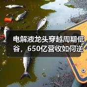 电解液龙头穿越周期低谷,650亿营收如何逆袭?(图3) 电解液龙头穿越周期低谷,650亿营收如何逆袭?(图3)