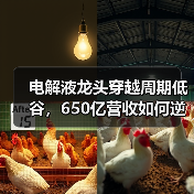 电解液龙头穿越周期低谷,650亿营收如何逆袭?(图4) 电解液龙头穿越周期低谷,650亿营收如何逆袭?(图4)