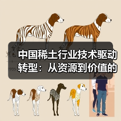 中国稀土行业技术驱动转型:从资源到价值的未来格局(图1) 中国稀土行业技术驱动转型:从资源到价值的未来格局(图1)