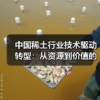 中国稀土行业技术驱动转型:从资源到价值的未来格局(图2) 中国稀土行业技术驱动转型:从资源到价值的未来格局(图2)