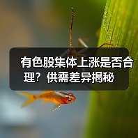 有色股集体上涨是否合理?供需差异揭秘(图2) 有色股集体上涨是否合理?供需差异揭秘(图2)