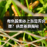 有色股集体上涨是否合理?供需差异揭秘(图4) 有色股集体上涨是否合理?供需差异揭秘(图4)
