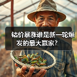 钴价暴涨谁是新一轮爆发的最大赢家?(图2) 钴价暴涨谁是新一轮爆发的最大赢家?(图2)