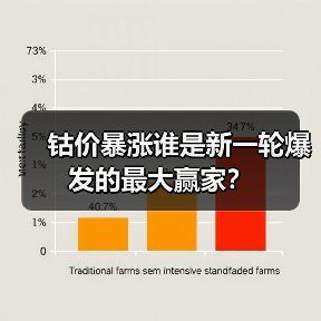 钴价暴涨谁是新一轮爆发的最大赢家?(图4) 钴价暴涨谁是新一轮爆发的最大赢家?(图4)