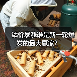 钴价暴涨谁是新一轮爆发的最大赢家?(图3) 钴价暴涨谁是新一轮爆发的最大赢家?(图3)