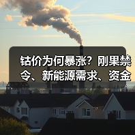 钴价为何暴涨?刚果禁令、新能源需求、资金炒作三重推手(图4) 钴价为何暴涨?刚果禁令、新能源需求、资金炒作三重推手(图4)