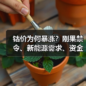钴价为何暴涨?刚果禁令、新能源需求、资金炒作三重推手(图3) 钴价为何暴涨?刚果禁令、新能源需求、资金炒作三重推手(图3)