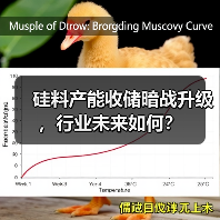 硅料产能收储暗战升级,行业未来如何?(图2) 硅料产能收储暗战升级,行业未来如何?(图2)