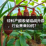 硅料产能收储暗战升级,行业未来如何?(图1) 硅料产能收储暗战升级,行业未来如何?(图1)