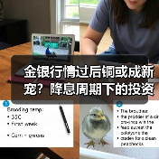 金银行情过后铜或成新宠?降息周期下的投资策略(图2) 金银行情过后铜或成新宠?降息周期下的投资策略(图2)