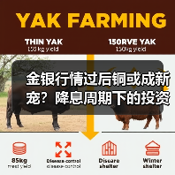 金银行情过后铜或成新宠?降息周期下的投资策略(图3) 金银行情过后铜或成新宠?降息周期下的投资策略(图3)