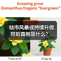钴市风暴或持续升级,背后真相是什么?(图4) 钴市风暴或持续升级,背后真相是什么?(图4)