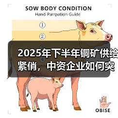 2025年下半年铜矿供给紧俏,中资企业如何突围?(图3) 2025年下半年铜矿供给紧俏,中资企业如何突围?(图3)