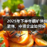 2025年下半年铜矿供给紧俏,中资企业如何突围?(图4) 2025年下半年铜矿供给紧俏,中资企业如何突围?(图4)