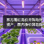 东方雨虹高价并购海外资产，国内涨价背后隐忧（图1）