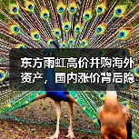 东方雨虹高价并购海外资产，国内涨价背后隐忧（图4）