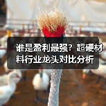 谁是盈利最强？超硬材料行业龙头对比分析（图1）