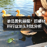 谁是盈利最强？超硬材料行业龙头对比分析（图4）