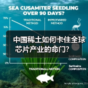 中国稀土如何卡住全球芯片产业的命门?(图2) 中国稀土如何卡住全球芯片产业的命门?(图2)
