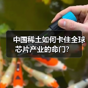 中国稀土如何卡住全球芯片产业的命门?(图4) 中国稀土如何卡住全球芯片产业的命门?(图4)