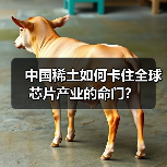 中国稀土如何卡住全球芯片产业的命门?(图3) 中国稀土如何卡住全球芯片产业的命门?(图3)
