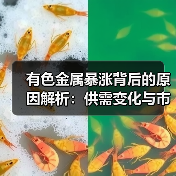 有色金属暴涨背后的原因解析:供需变化与市场预期(图2) 有色金属暴涨背后的原因解析:供需变化与市场预期(图2)