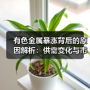 有色金属暴涨背后的原因解析:供需变化与市场预期(图4) 有色金属暴涨背后的原因解析:供需变化与市场预期(图4)