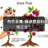 有色金属·镍谁是盈利最强企业？（图2）