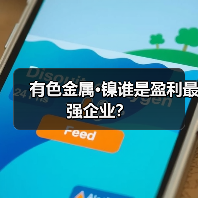 有色金属·镍谁是盈利最强企业？（图3）