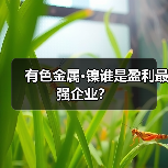 有色金属·镍谁是盈利最强企业？（图4）