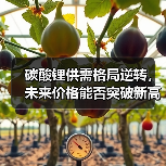 碳酸锂供需格局逆转，未来价格能否突破新高？（图2）
